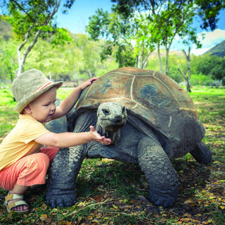 הנאה לכל גיל. חוויה עם צבי ענק