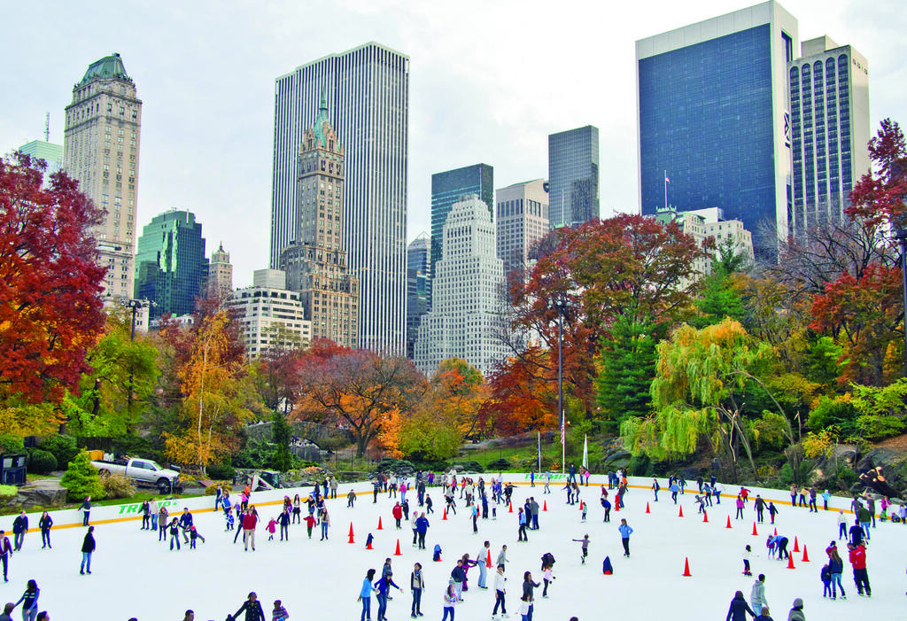 אווירה נהדרת. חורף בסנטרל פארק, ניו-יורק