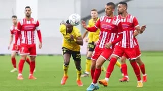 עובדיה דרוויש בפעולה