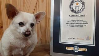 ספייק, הכלב המבוגר בעולם