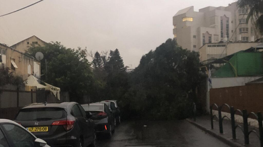 מזג אוויר חורפי רחוב בר אילן הרצליה