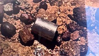 קפסולה רדיואקטיבית שאותרה במדבר במערב אוסטרליה בתום מבצע חיפושים ממושך