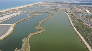 השטח שיעבור שיקום במסגרת פרויקט הדפלה