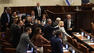 מליאת הכנסת