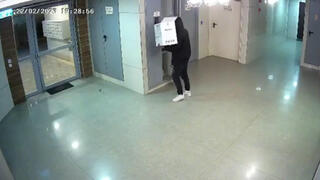 תיעוד מגניבת הדיפורילטורים