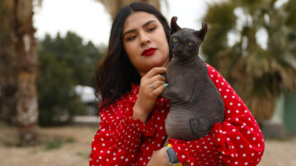 Tattooed Mexican cat