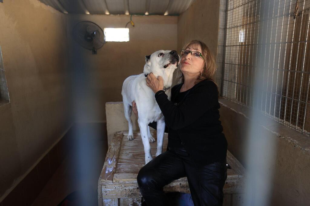 Project founder Anya Moskov (Photo: Elad Gershgorn) פרויקט גיבורים שתיים על ארבע עמותת גלבוע אוהבת חיות