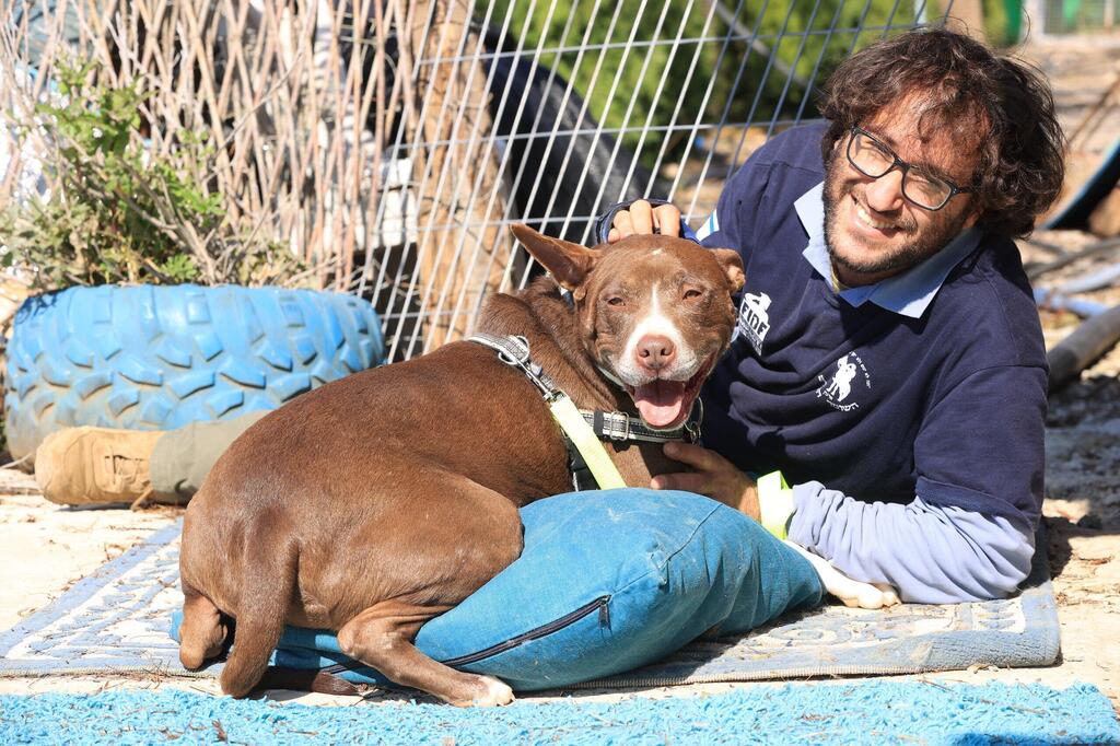 Fostering trust and warmth is essential (Photo: Elad Gershgorn) פרויקט גיבורים שתיים על ארבע עמותת גלבוע אוהבת חיות