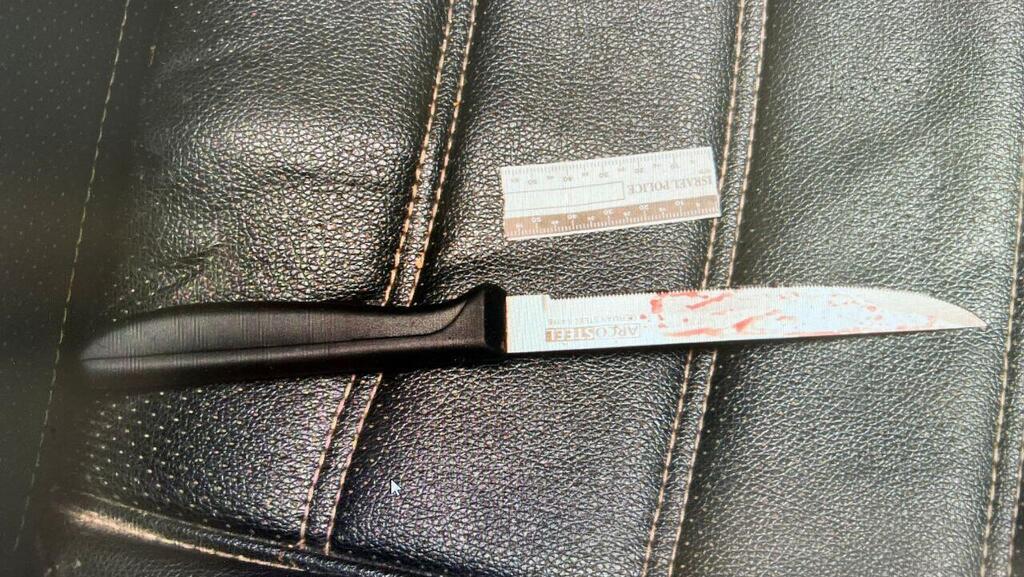 הסכין ששימשה לרצח