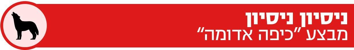 באנר לייב בלוג ניסיון