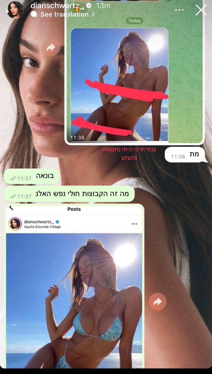 דיאן שוורץ אינסטגרם 