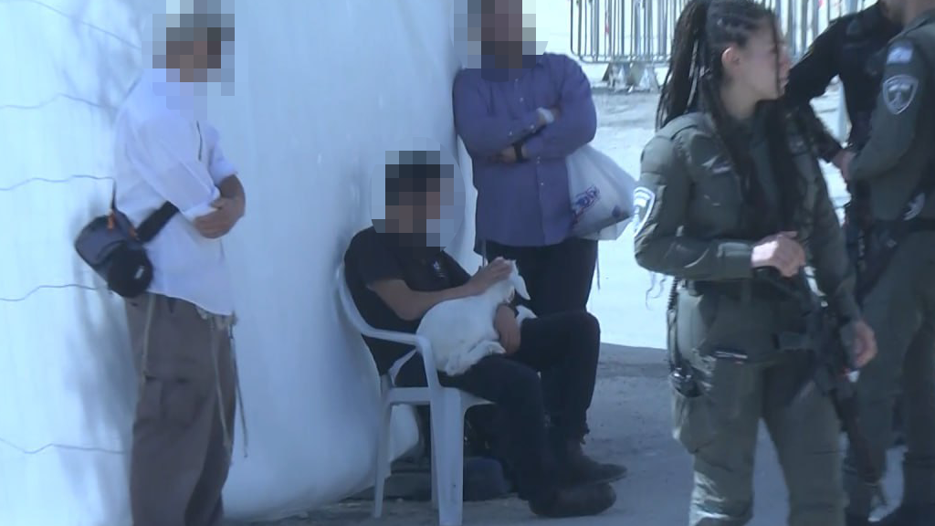 פעילים הגיעו להקריב קורבן בהר הבית