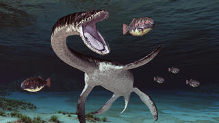 הדמיה של פלזיאוזאורוס ניזון מדגים