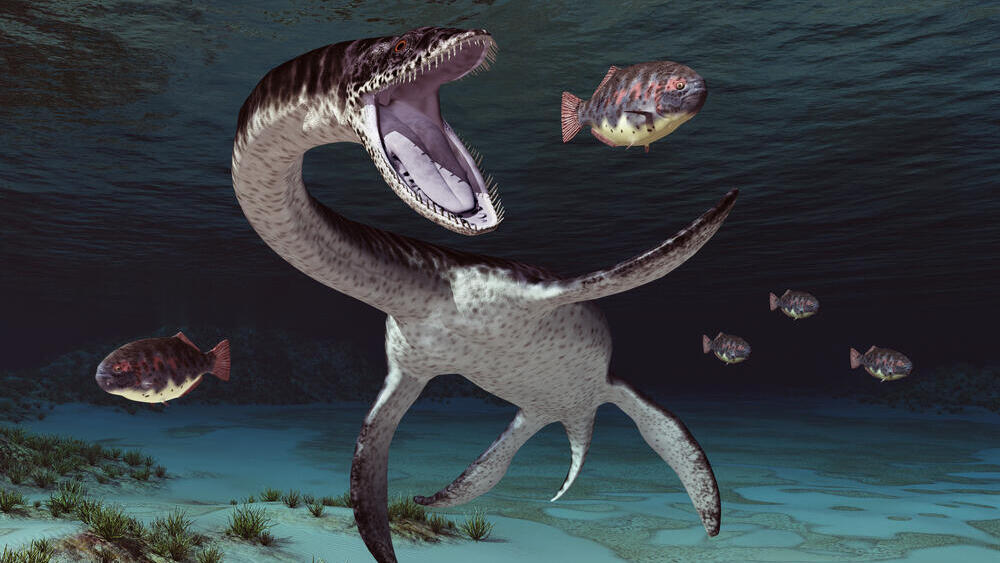 הדמיה של פלזיאוזאורוס ניזון מדגים
