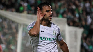 שחקן מכבי חיפה דין דוד