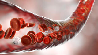 תאי דם אדומים