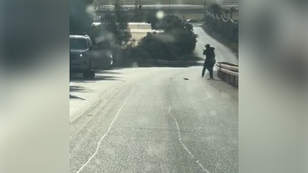 Кадр из видеозаписи תיעוד האירוע בגן נר