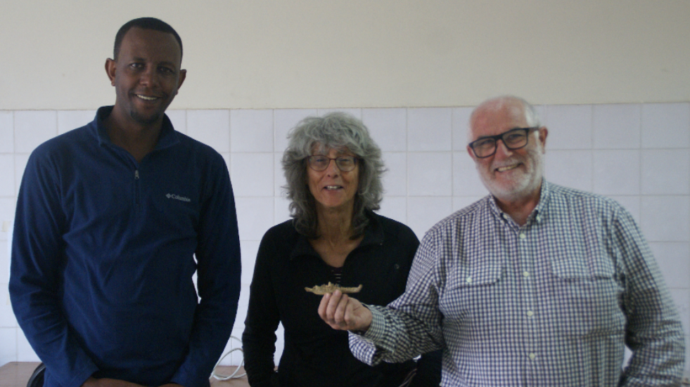 Dr. Tegenu Gossa, Prof. Erella Hovers, and Prof. Bienvenido Martínez-Navarro (Photo: Eduardo Pesao) מימין לשמאל: ביינבנידו מרטינז-נאווארו (אוחז בממצא), אראלה חוברס וטגנו גוסה