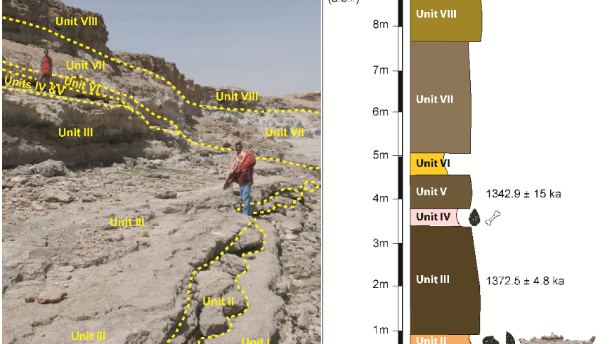משמאל - צילום של אזור הממצא (קרדיט: טגנו גוסה); מימין: עמודת השכבות הגיאולוגיות וגיליהן במליוני שנה (קרדיט: אספאווסן אסרט)   