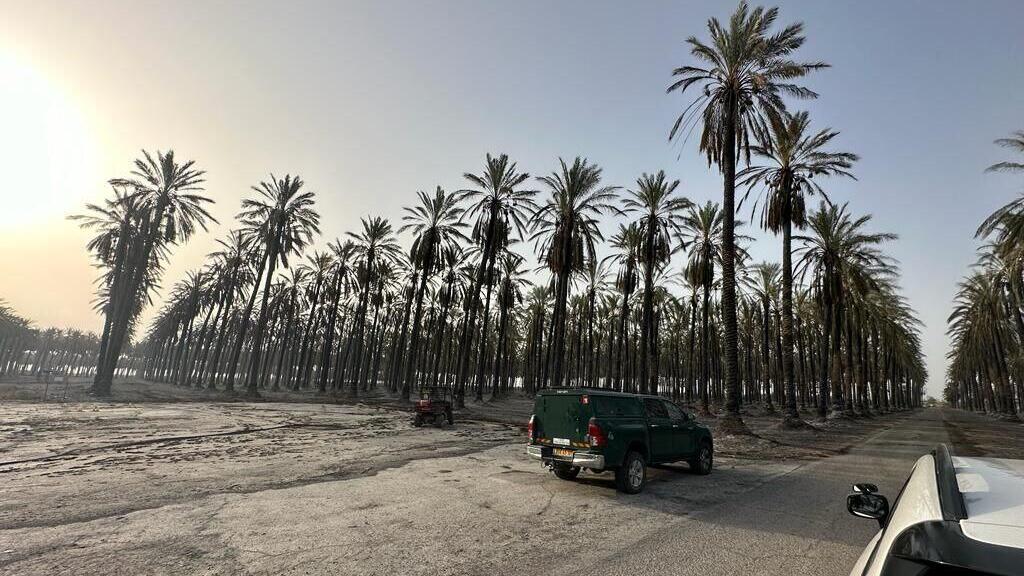 השריפה באזור ים המלח 