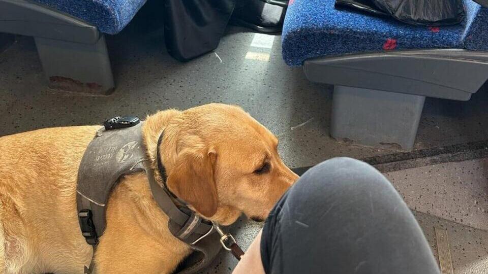רוני ברכבת מול הגבר שסירב לאפשר לה לשבת לידו 