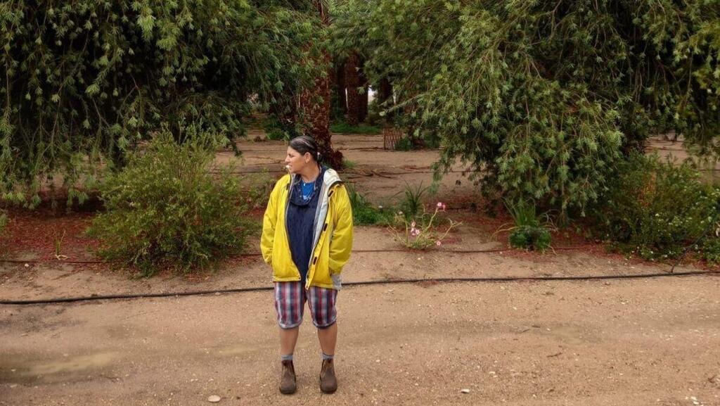 В Араве после дождя (Фото: Хила Эльбаз, региональный совет Ха-Арава ха-Тихона) גשם ושרב באמצע מאי בערבה התיכונה