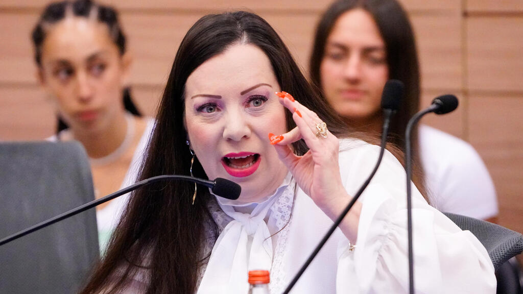 ועדת החוקה, חוק ומשפט