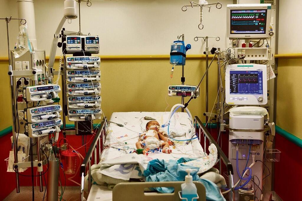 רימאן אבו־גזר, 2012