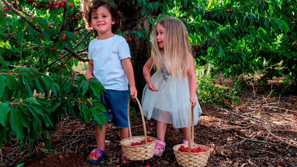 В саду Берешит (Фото: Рони Оз Рейзнер) אורי רייזנר ואביב רגב מקיבוץ עין זיוון בבוסתן בראשית