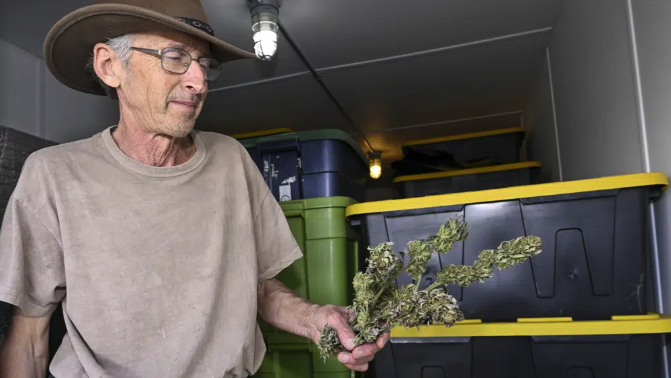 Seth Jacobs talks about his 500 pounds of marijuana he grew on his Slack Hollow farm in Argyle, N.Y., Friday, May 12, 2023