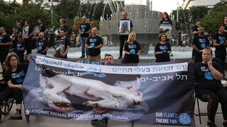 מחאה ליום זכויות בעלי חיים בכיכר דיזינגוף