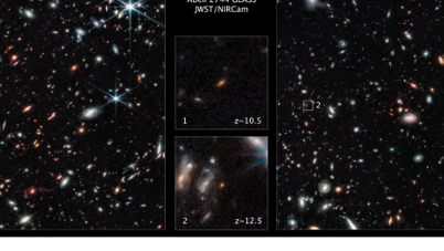 The primordial galaxies as observed by the James Webb Space Telescope