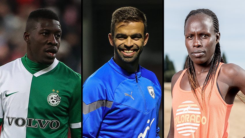 לונה צ'מטאי מיגל ויטור מוחמד עלי