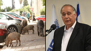 יונה יהב מודיע על ריצה לראשות העיר חיפה