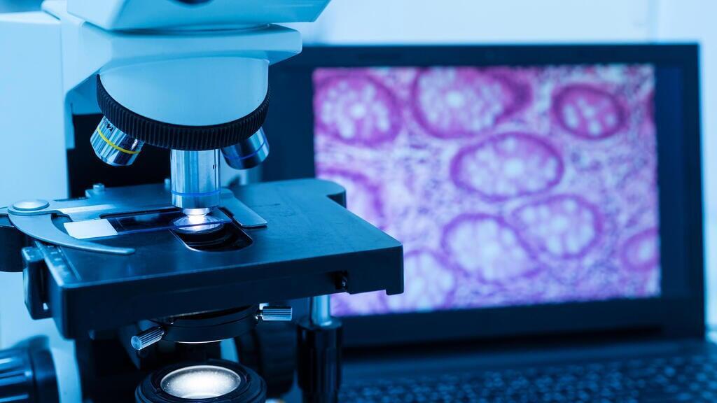 A medical laboratory 