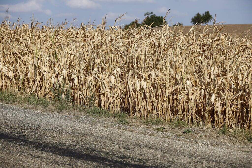 Drought in France 