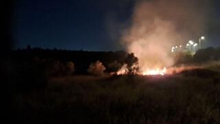 מתיישבים הציתו מטע זיתים בשומרון