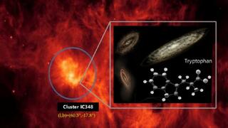 מערכת הכוכבים IC348, בה התגלתה חומצת האמינו טריפטופן