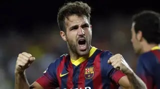 ססק פברגאס חוגג