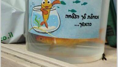 דג שניתן במתנה לתלמידי יסודי במרכז הארץ