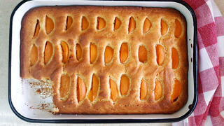 עוגת משמשים, מירי צדוק