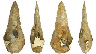 גרזן היד הגדול ביותר מכל כלי האבן שהתגלו בחפירות במחוז קנט