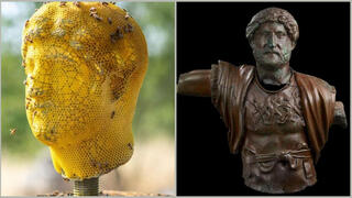 Голова императора Адриана, создаваемая пчелами, и бюст Адриана из Музея Израиля 