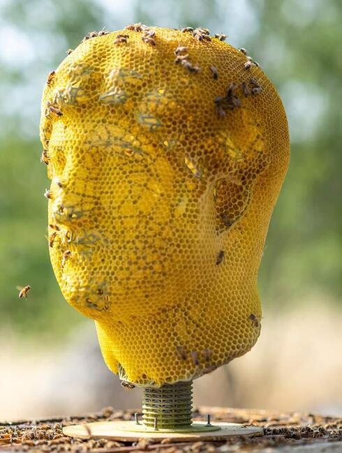 Голова императора Адриана, над которой "работают" пчелы 