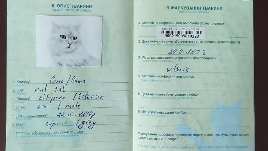 Passport of a cat 