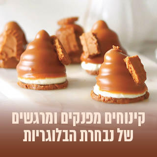 קינוחים מפנקים של נבחרת הבלוגריות