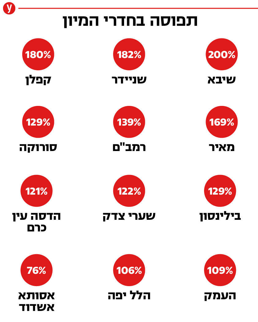 אינפו חדש תפוסה