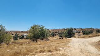 דרך מאחז עוז ציון