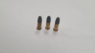  אקדחי עט שהשוטרים תפסו מוסלקים בניאגרה
