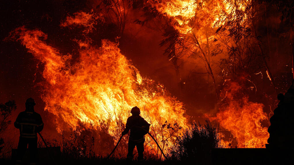שריפה שריפות יער פורטוגל